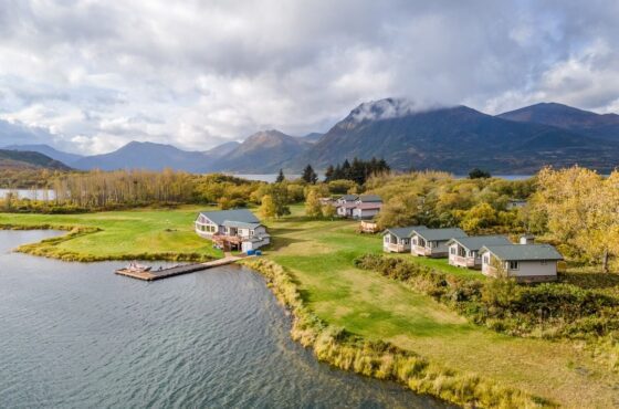 Kodiak Brown Bear Center