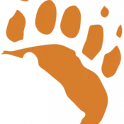 Kodiak Brown Bear Center