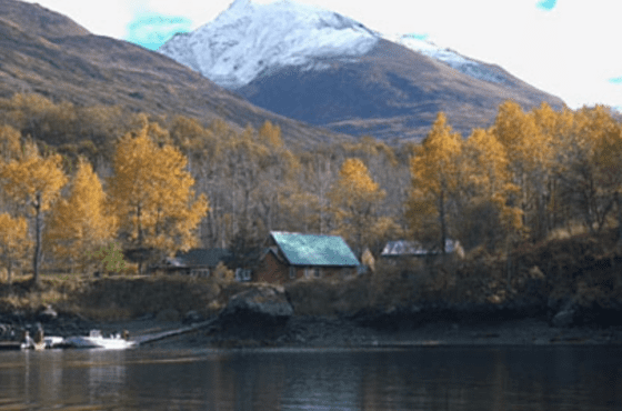 Munsey’s Bear Camp