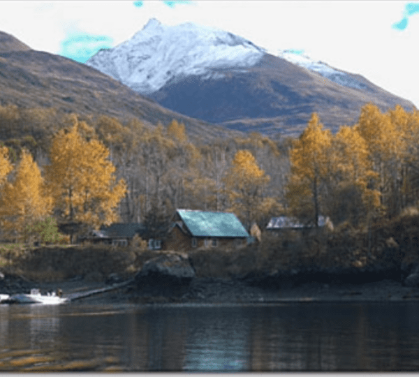 Munsey's Bear Camp