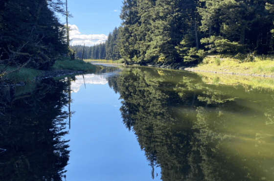 Alaska State Parks – Kodiak District