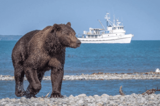 Geographic Marine Expeditions