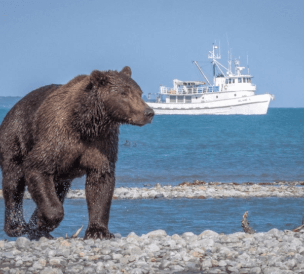 Geographic Marine Expeditions
