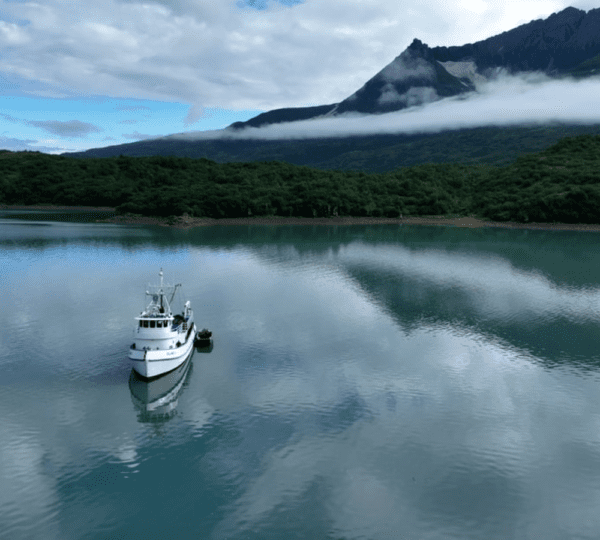 Geographic Marine Expeditions