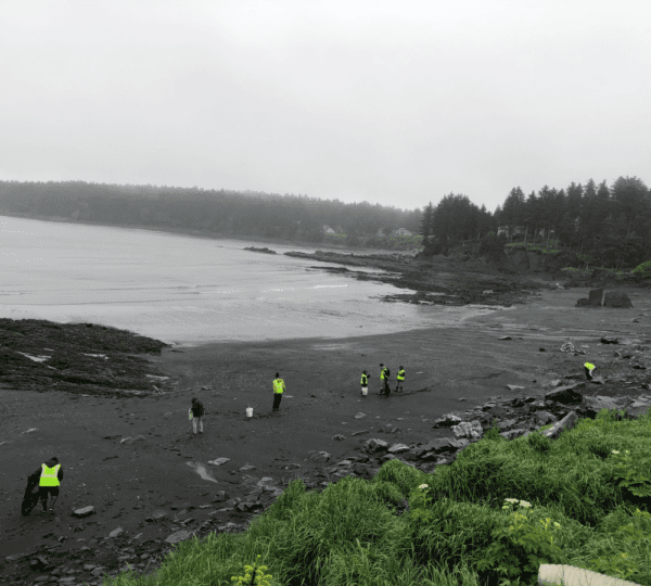 Island Trails Network