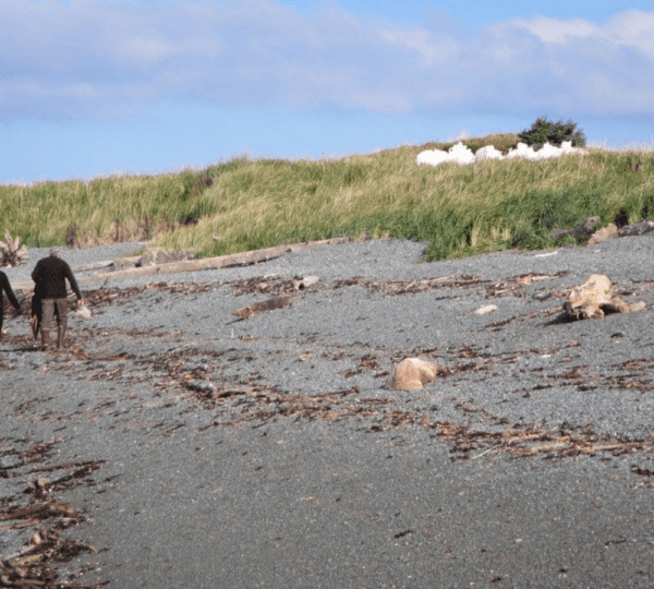 Island Trails Network