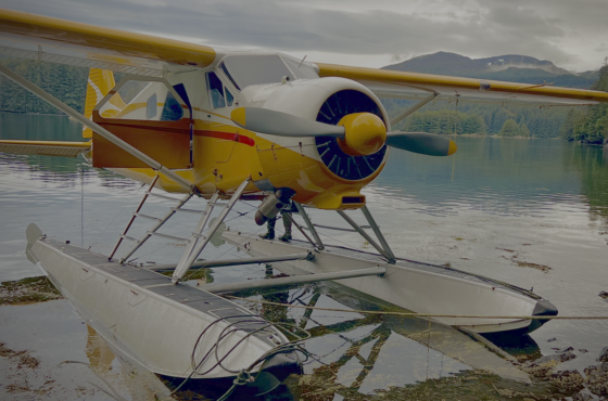 Sea Hawk Air