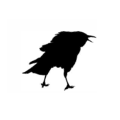 Cranky Crow Guest House