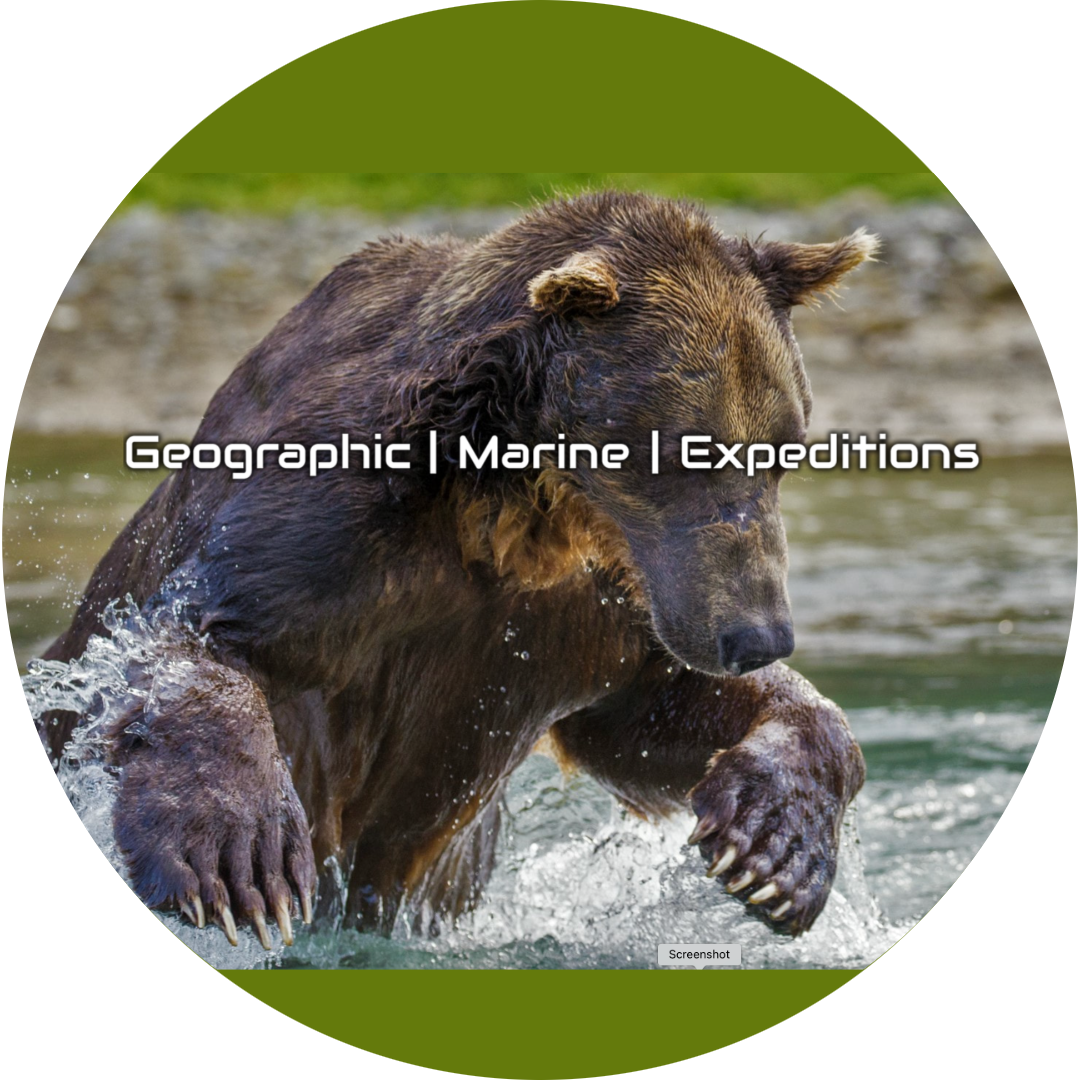 "Geographic Marine Expeditions" with image of bear jumping through stream