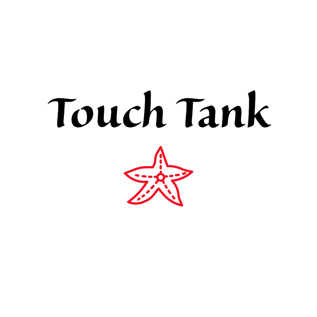 "Touch Tank"
