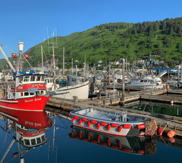 Kodiak Connections
