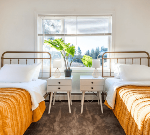 Shoreline Properties