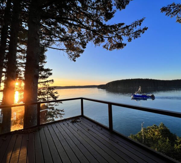 Shoreline Properties