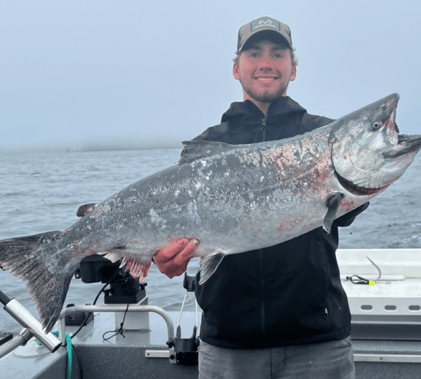 Kodiak Kings LLC