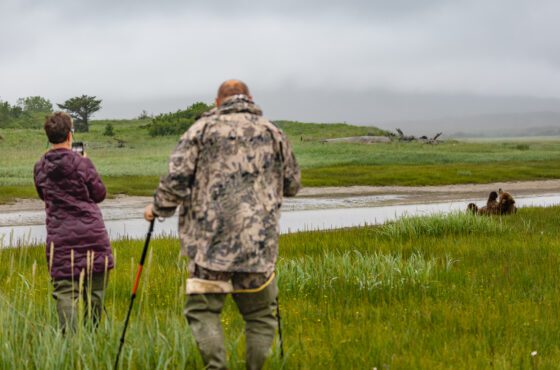 Bear Viewing with Island Air Service