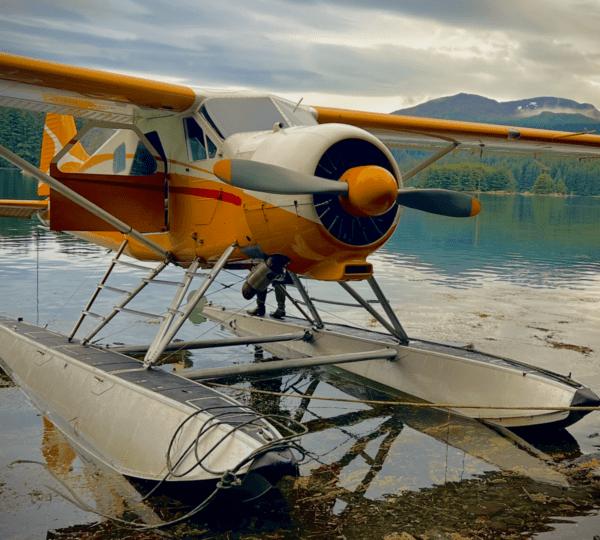 Sea Hawk Air