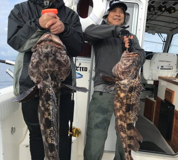 SalmonCrazy Adventures