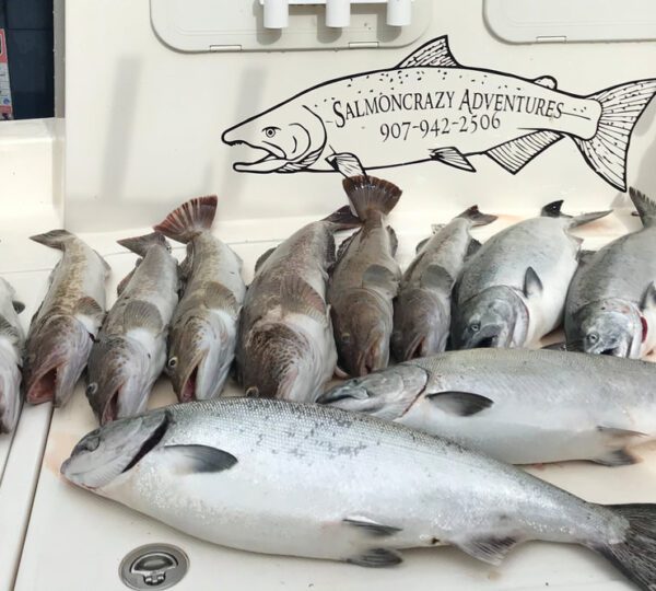 SalmonCrazy Adventures