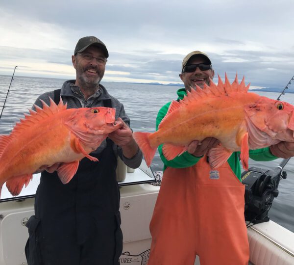 SalmonCrazy Adventures