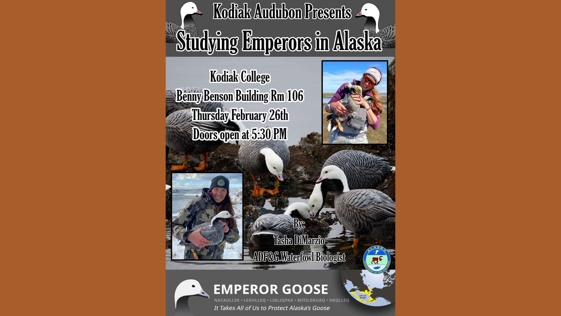 Event poster titled “Studying Emperors in Alaska” with images of emperor geese and a biologist, event details, and logos. Event is at Kodiak College, Feb 26th, 5:30 PM, by Tasha DiMarzio, U.S. Fish Wildlife Service.