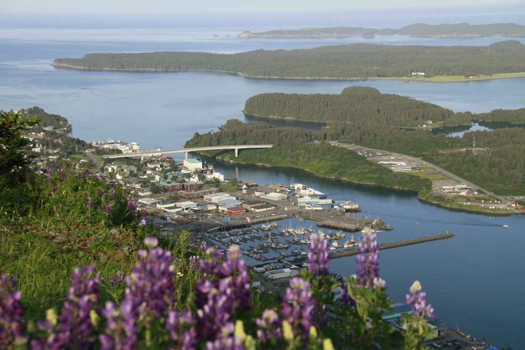 A scenic view of a coastal town with a marina, bridge, and forested islands, seen from a hillside with purple wildflowers—discover Local Gifts in Kodiak while enjoying this picturesque setting under a clear sky.