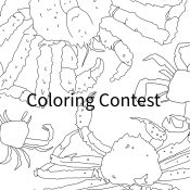 Black-and-white line drawing of three crabs with detailed legs and claws, arranged around the text Coloring Contest. The bottom features logos and the credit designed by natasha zahn studio for Discover Kodiak.