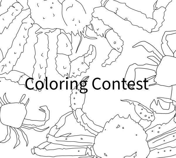 Black-and-white line drawing of three crabs with detailed legs and claws, arranged around the text Coloring Contest. The bottom features logos and the credit designed by natasha zahn studio for Discover Kodiak.