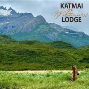 A brown bear stands on its hind legs in a grassy field, looking toward mountains with patches of snow. The text Katmai Wilderness Lodge appears in the sky above.