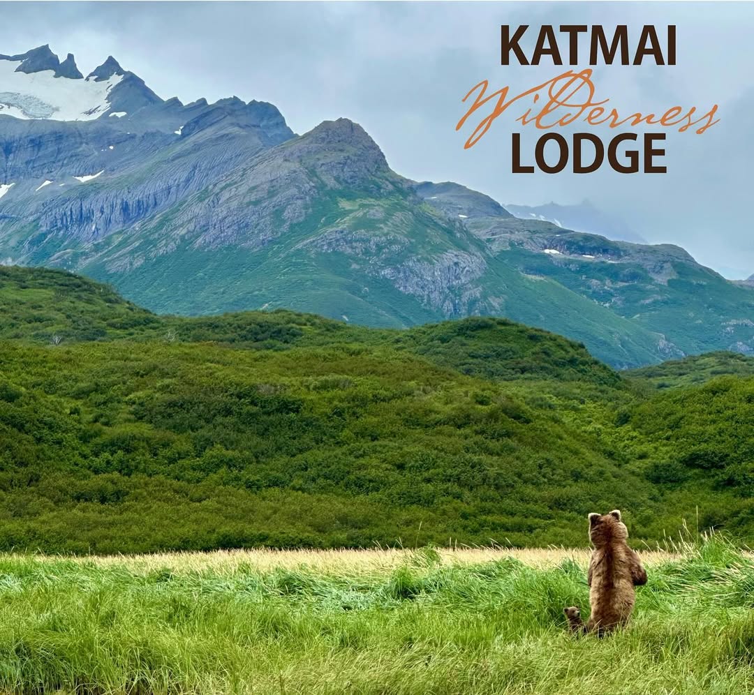 A brown bear stands on its hind legs in a grassy field, looking toward mountains with patches of snow. The text Katmai Wilderness Lodge appears in the sky above.
