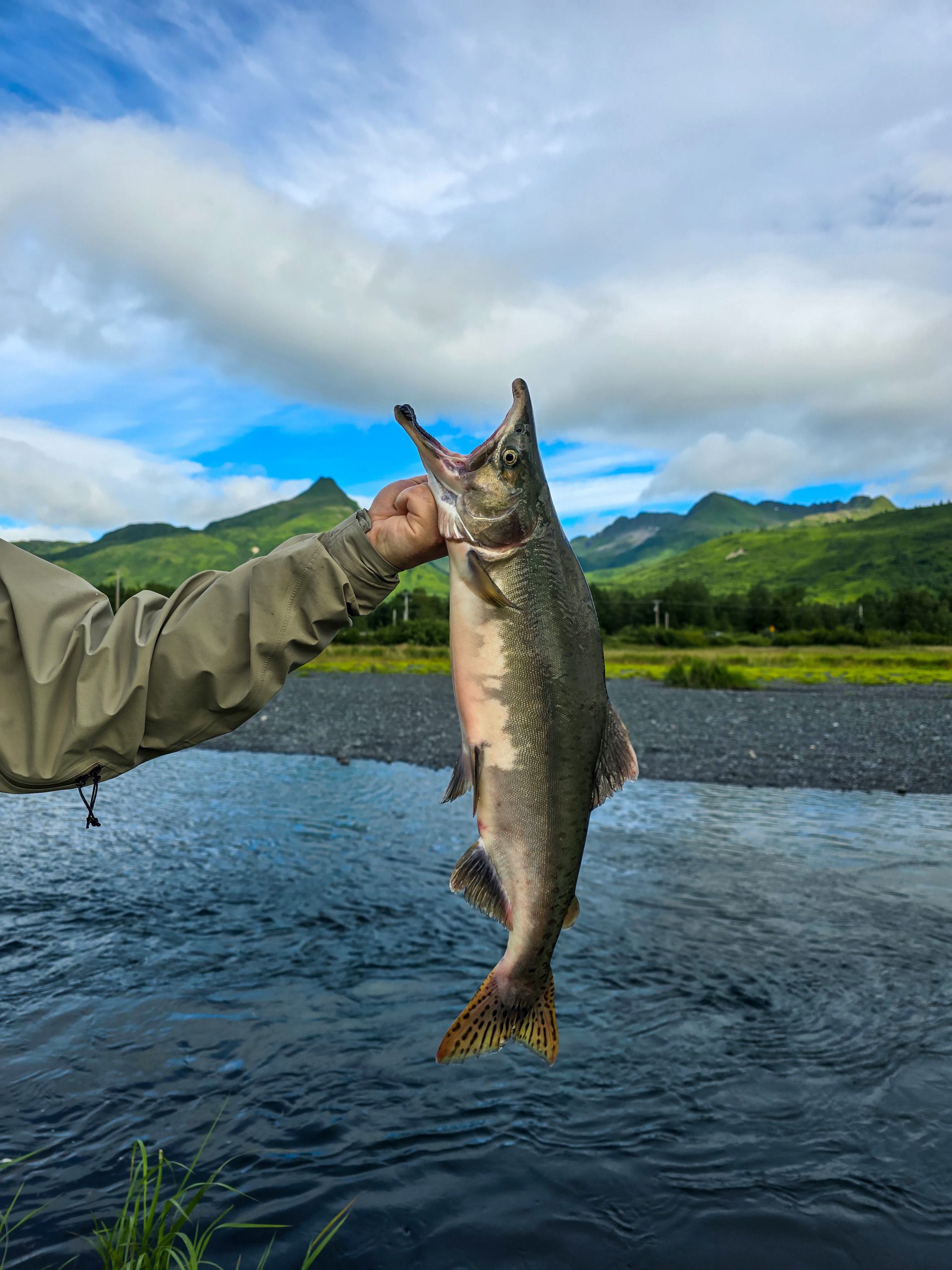 A person in an outdoor jacket holds a large fish by the mouth over a river, with green hills and a partly cloudy sky in the background.