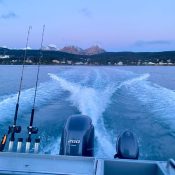 A view from the back of a boat with fishing rods and engines, looking out at blue water and a distant shoreline with snow-capped mountains under a clear sky at dusk.